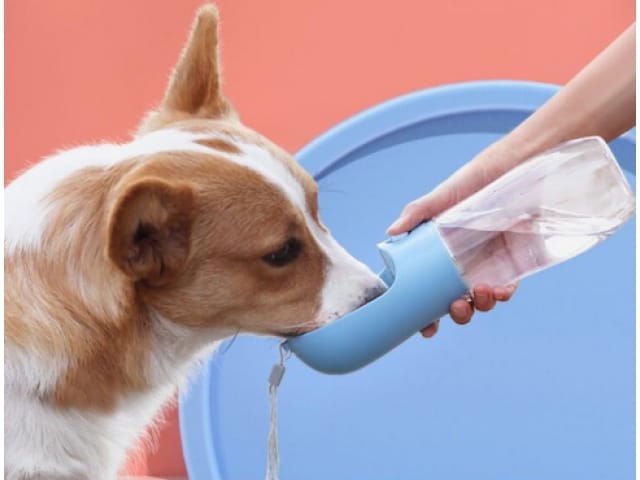 SA096 Przenośne poidło dla zwierząt turystyczne