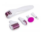 EB213 Derma Roller 6w1