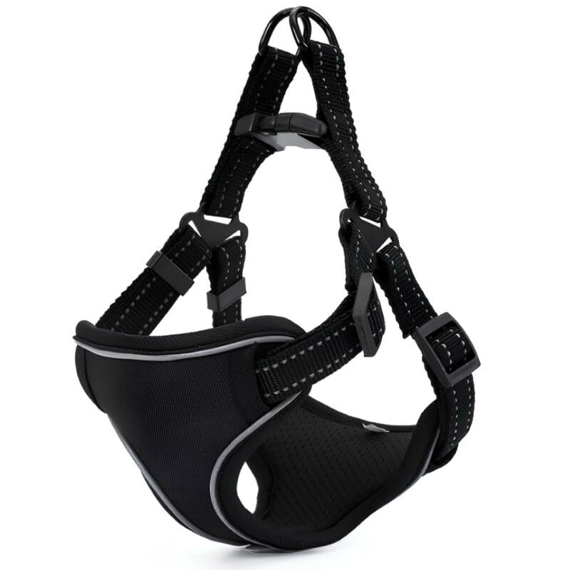 SZELKI BEZUCISKOWE DLA PSA MOCNE LEKKIE L