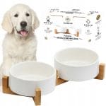 MISKA DLA PSA KOTA PODWÓJNA CERAMICZNA MISKI NA STOJAKU BIAŁA 800ML