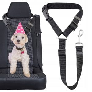 SMYCZ BEZPIECZEŃSTWA DO AUTA DLA PSA KOTA KRÓTKA SAMOCHODU NA ZAGŁÓWEK 73CM