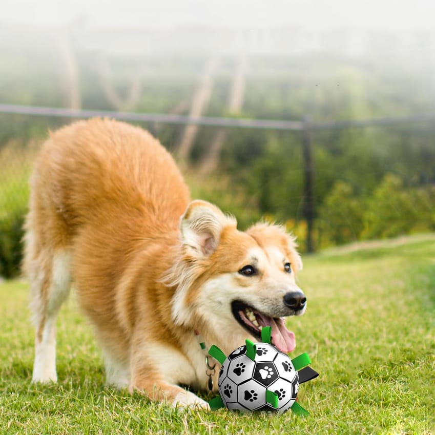 ZABAWKA DLA PSA KOTA PIŁKA FUTBOLOWA Z UCHWYTAMI 14CM - obrazek 9