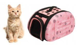 TRANSPORTER PSA KOTA PINK L