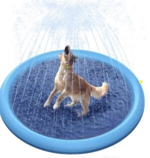 MATA ZRASZACZ FONTANNA 150CM