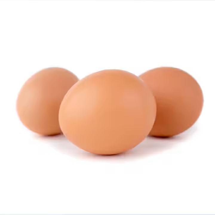 JAJA PODKŁADOWE DLA KUR 25SZT