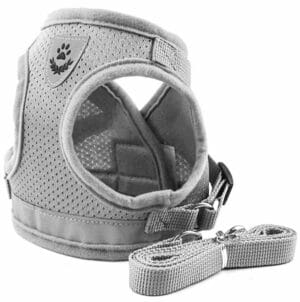 SZELKI BEZUCISKOWE DLA KOTA ZE SMYCZĄ