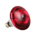 PROMIENNIK PODCZERWIENI ŻARÓWKA 175W