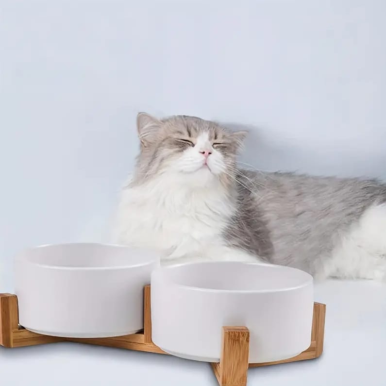 MISKA DLA PSA KOTA PODWÓJNA CERAMICZNA MISKI NA STOJAKU BIAŁA 800ML - obrazek 6