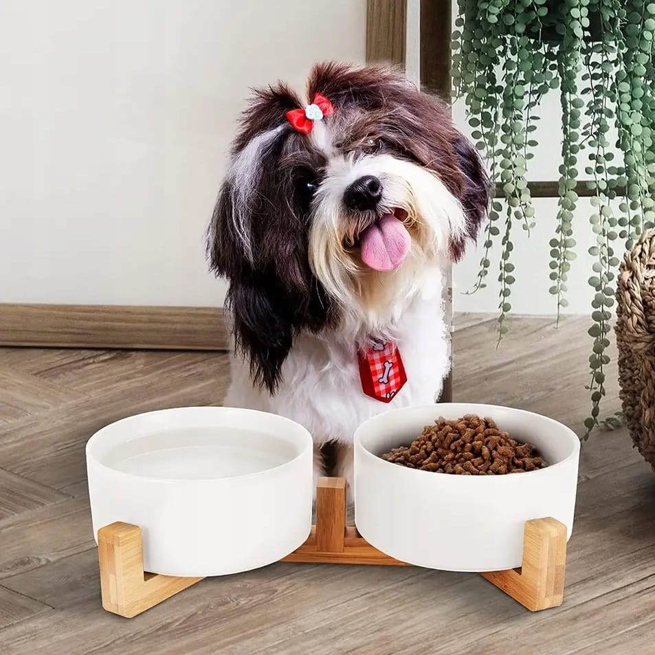 MISKA DLA PSA KOTA PODWÓJNA CERAMICZNA MISKI NA STOJAKU BIAŁA 800ML - obrazek 3