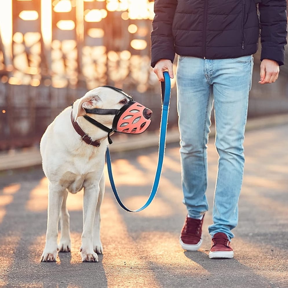 KAGANIEC DLA PSA GUMOWY REGULOWANY WYGODNY ODDYCHAJĄCY ROZMIAR XXL - obrazek 9