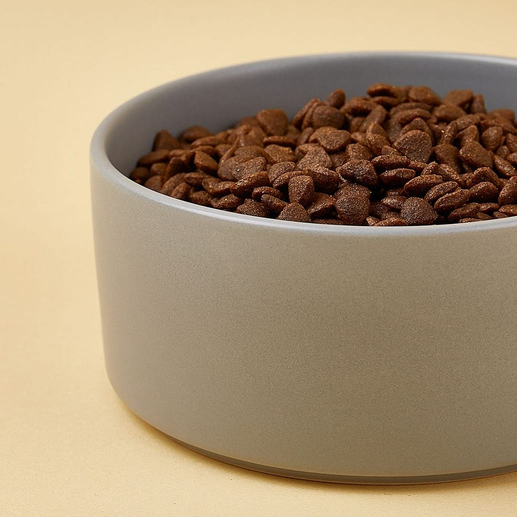 MISKA DLA KOTA PSA CERAMICZNA CZARNA 400ML - obrazek 2