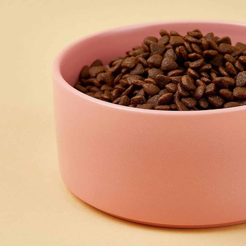 MISKA DLA KOTA PSA CERAMICZNA CZARNA 400ML - obrazek 3