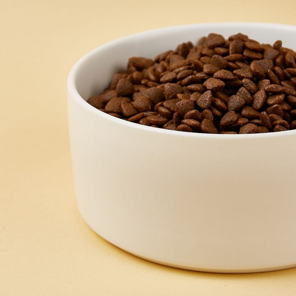 MISKA DLA KOTA PSA CERAMICZNA CZARNA 400ML - obrazek 9