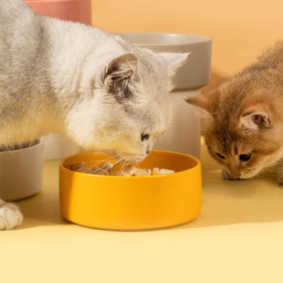 MISKA DLA KOTA PSA CERAMICZNA CZARNA 400ML - obrazek 12