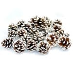 DEKORACJA SZYSZKA BIELONA SOSNOWA OŚNIEŻONA SZYSZKI STROIK OZDOBA ŚWIĄTECZNA 3-6CM 25SZT