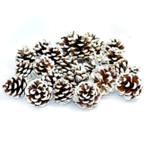 DEKORACJA SZYSZKA BIELONA SOSNOWA OŚNIEŻONA SZYSZKI STROIK OZDOBA ŚWIĄTECZNA 3-6CM 25SZT