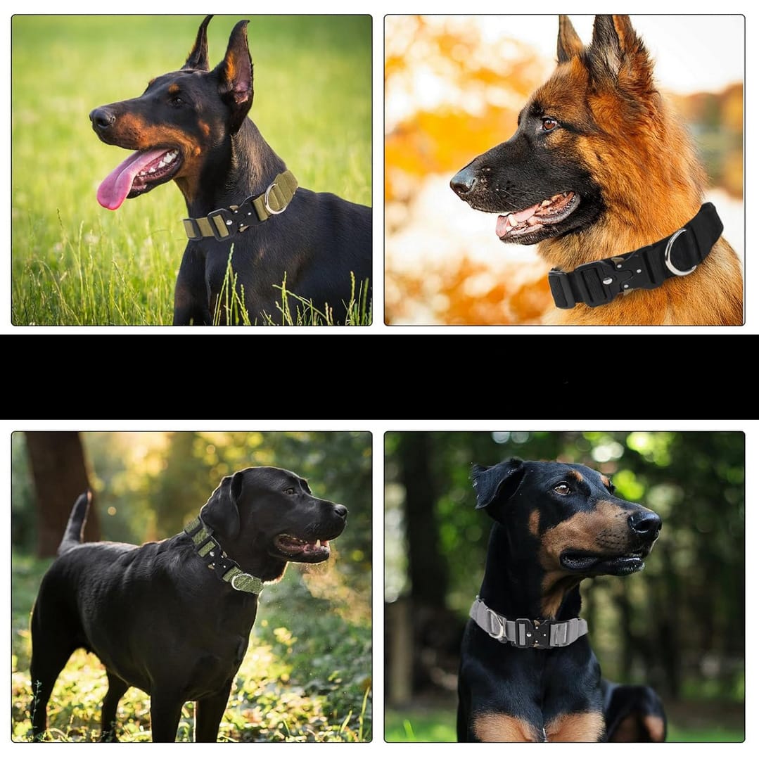 OBROŻA TAKTYCZNA DLA PSA QR MOCNA REGULOWANA POLICYJNA MOCNA 46-55CM L - obrazek 5