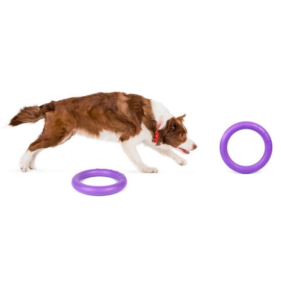 ZABAWKA DLA PSA PULLER RINGO GRYZAK DO SZKOLENIA TRENINGU RZUCANIA ZESTAW XL 29CM 2SZT - obrazek 5