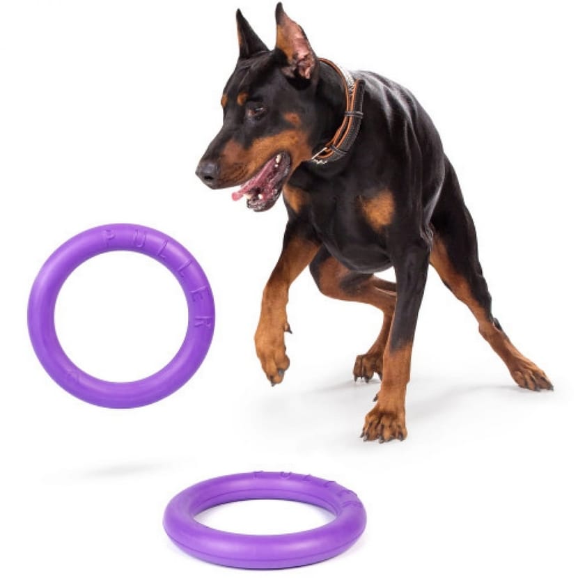 ZABAWKA DLA PSA PULLER RINGO GRYZAK DO SZKOLENIA TRENINGU RZUCANIA ZESTAW XL 29CM 2SZT - obrazek 6