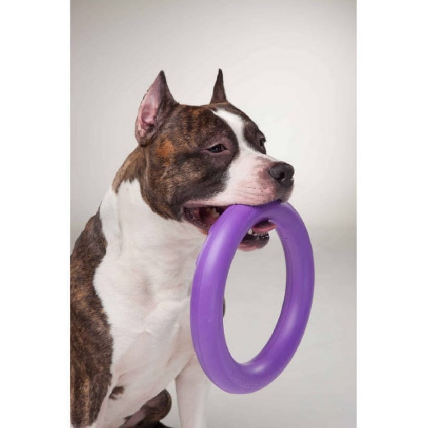 ZABAWKA DLA PSA PULLER RINGO GRYZAK DO SZKOLENIA TRENINGU RZUCANIA ZESTAW XL 29CM 2SZT - obrazek 7