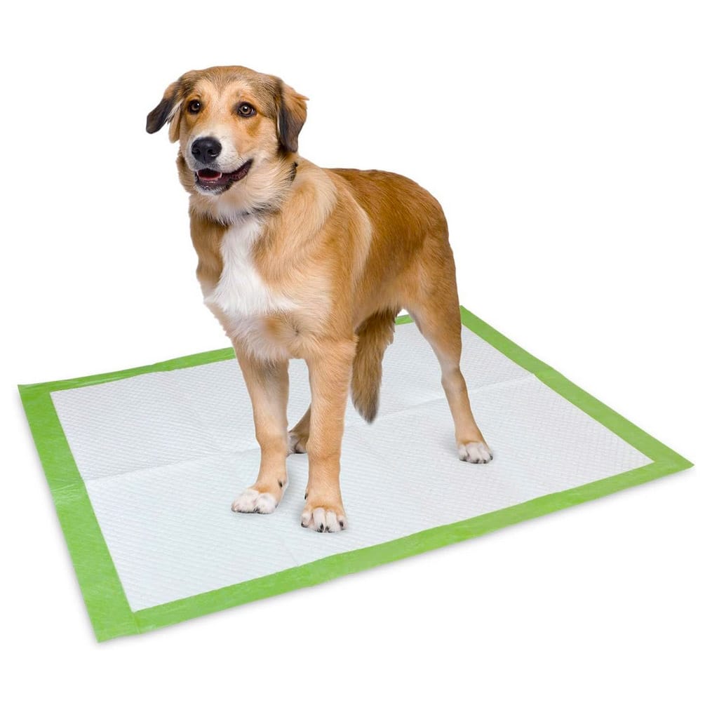 MATA DLA PSA PODKŁADY HIGIENICZNE ZIELONE XL 40SZT 60X60CM - obrazek 4