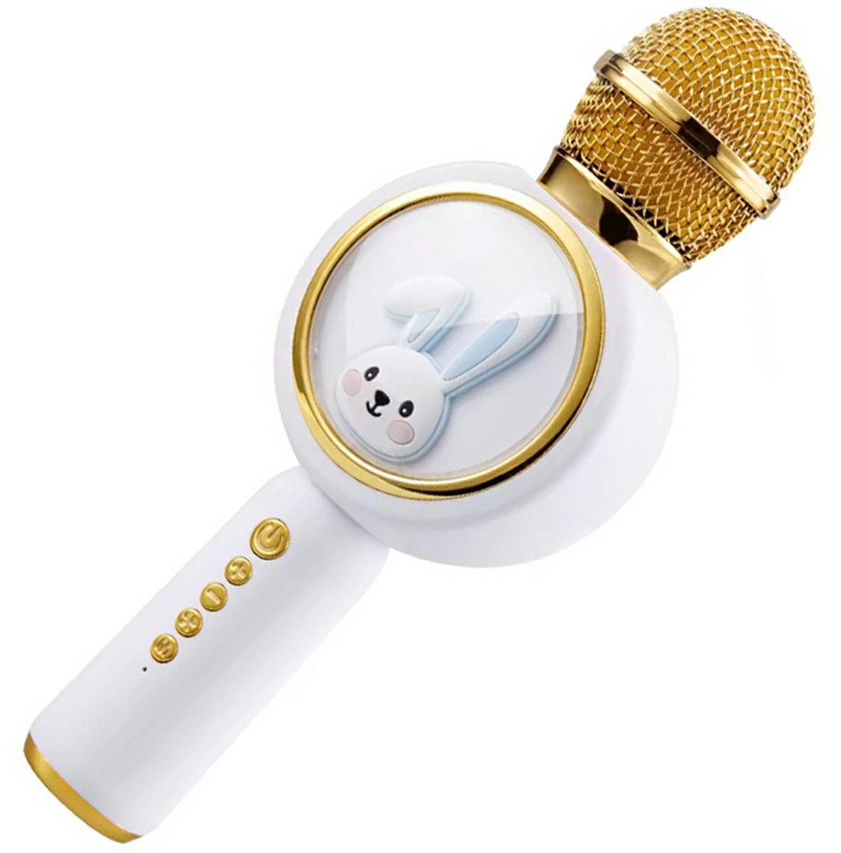 MIKROFON KARAOKE BT GŁOŚNIK