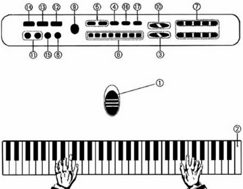 KEYBOARD ORGANY Z MIKR. 61KL SILV - obrazek 4